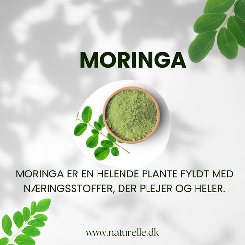 Moringa behandler effektivt psoriasis, forkølelsessår, akne og ringorm - Naturelle.dk